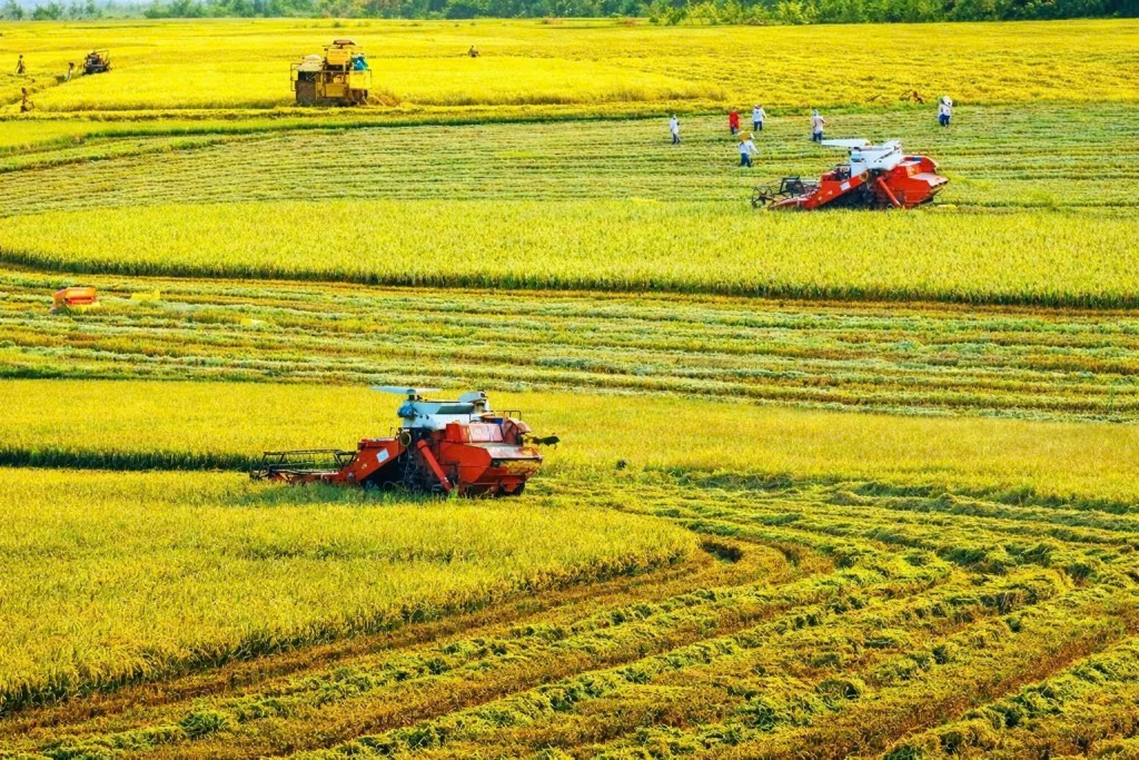Ngành nông nghiệp môi trường phấn đấu các mục tiêu tăng trưởng