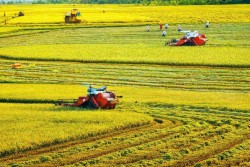 Ngành nông nghiệp môi trường phấn đấu các mục tiêu tăng trưởng