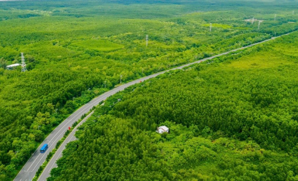 Khu dự trữ sinh quyển rừng ngập mặn Cần Giờ vừa là lá phổi xanh, vừa là cỗ máy điều hòa khí hậu khổng lồ cho Vinhomes Green Paradise