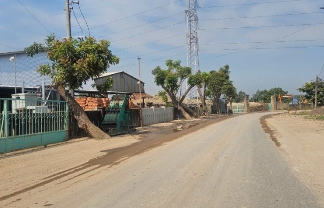 Tập đoàn VSIP Việt Nam nghiên cứu dự án tại phường Điện Bàn Bắc