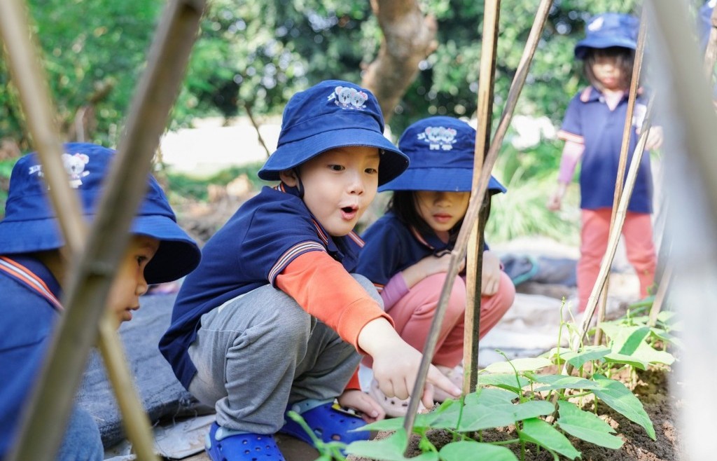 Giáo dục con trẻ là một hành trình "đi bộ đường dài"