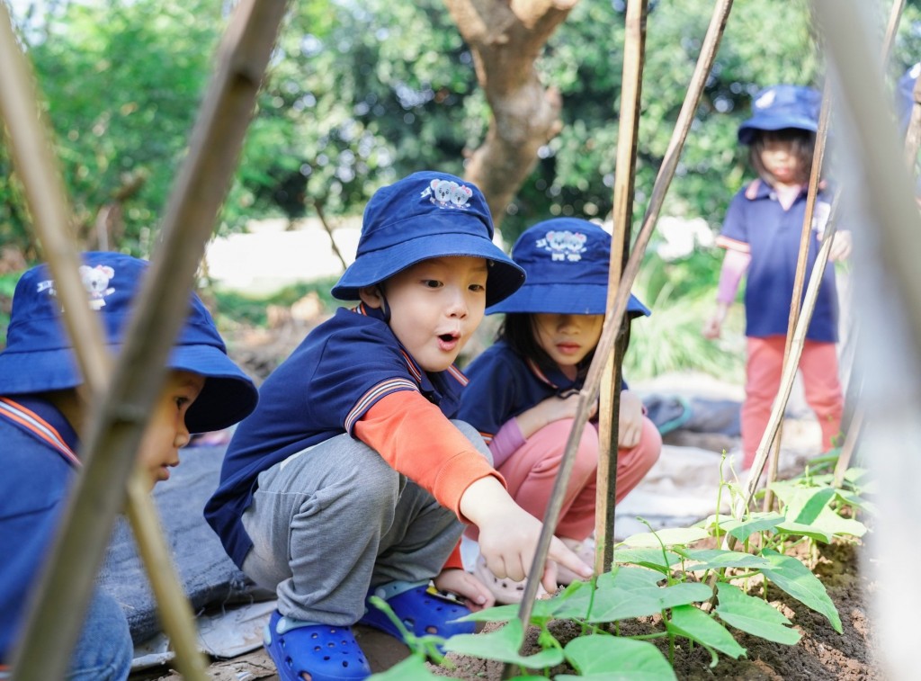 Giáo dục con trẻ là một hành trình 