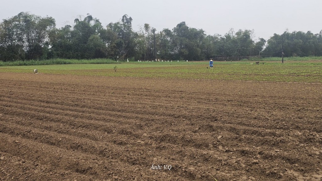 Siết chặt hoạt động khai thác khoáng sản trái phép ven sông Thu Bồn Siết chặt hoạt động khai thác khoáng sản trái phép ven sông Thu Bồn