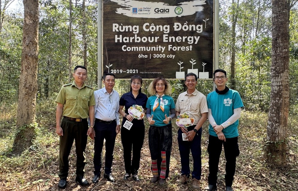 Trồng rừng bền vững - lời giải cho thách thức biến đổi khí hậu