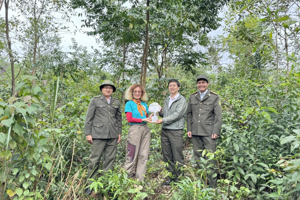 Trồng rừng bền vững - lời giải cho thách thức biến đổi khí hậu