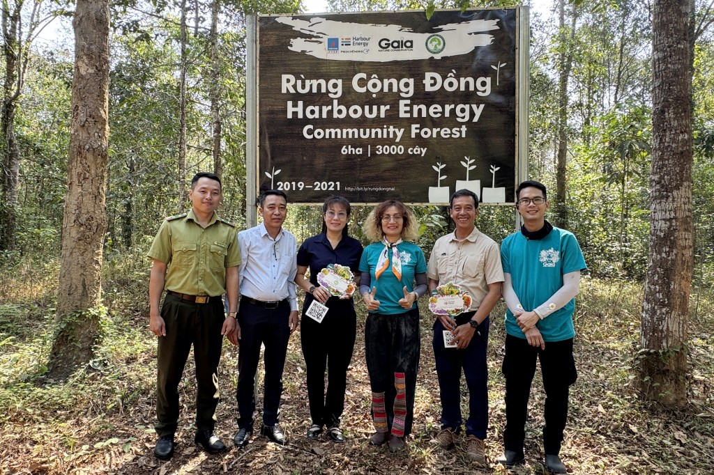 Trồng rừng bền vững - lời giải cho thách thức biến đổi khí hậu