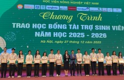 Khi giảng đường nối dài vào doanh nghiệp