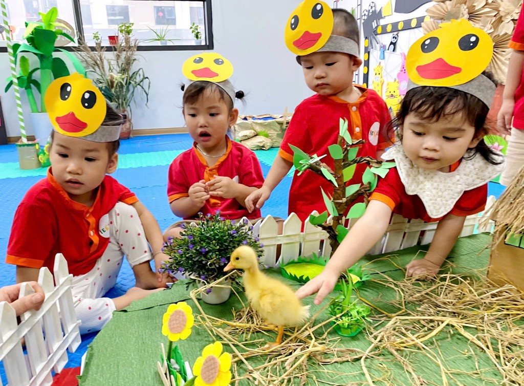 Ươm mầm nếp sống văn minh, hình thành văn hóa công dân toàn cầu