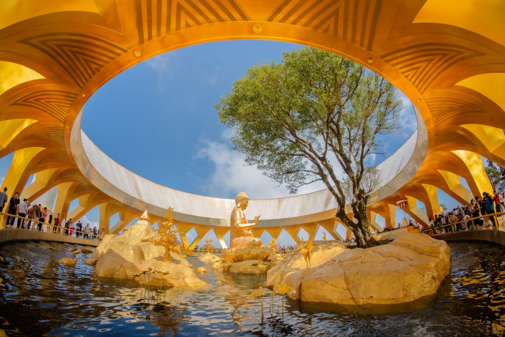 Cây sung cổ thụ tỏa bóng bên tôn tượng, gợi tích xưa về hành trình giác ngộ dưới gốc cây Ưu đàm.