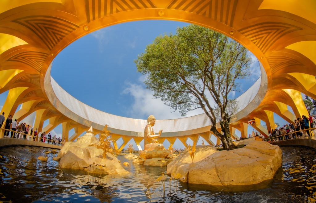 Chuyện ít biết về cây sung cổ bên tượng Phật Câu Na Hàm Mâu Ni trên núi Bà Đen