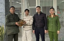 Đà Nẵng đưa cá thể rùa quý hiếm nặng gần 7kg về tự nhiên