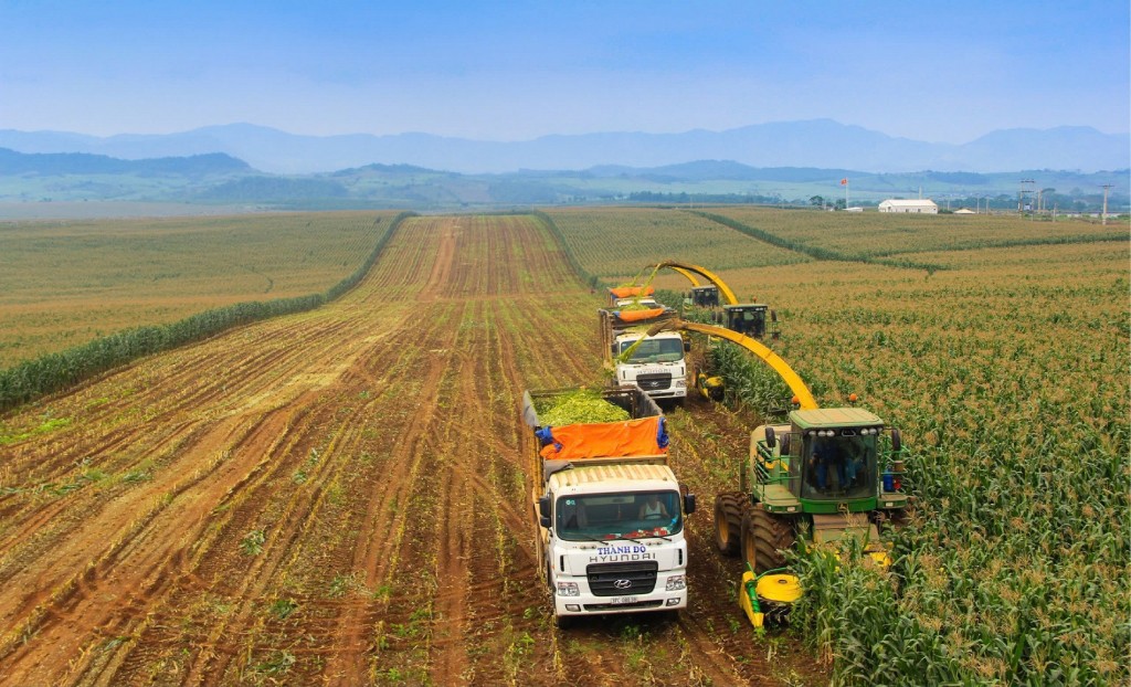 Bac A Bank đồng hành cùng nông nghiệp công nghệ cao và tài chính xanh