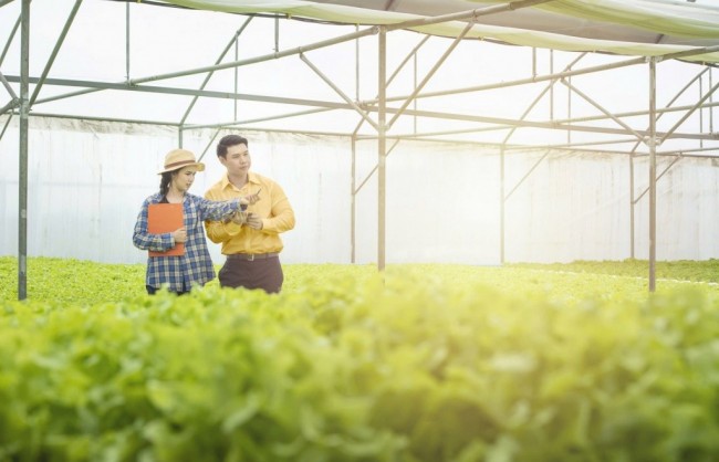 Bac A Bank đồng hành cùng nông nghiệp công nghệ cao và tài chính xanh