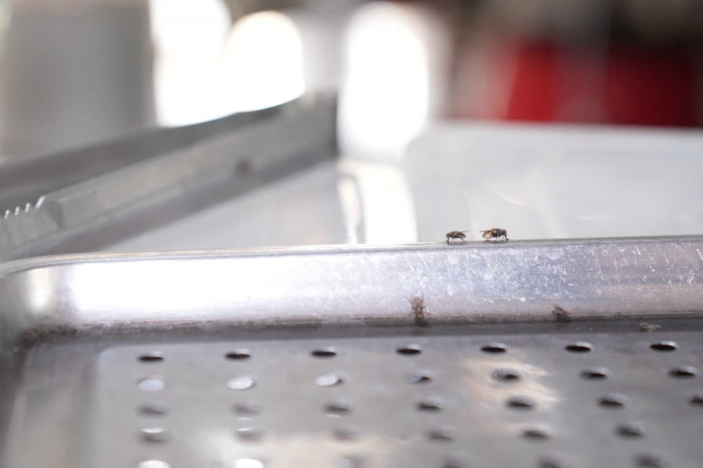 Vẫn còn những tồn tại, hạn chế cần được chấn chỉnh