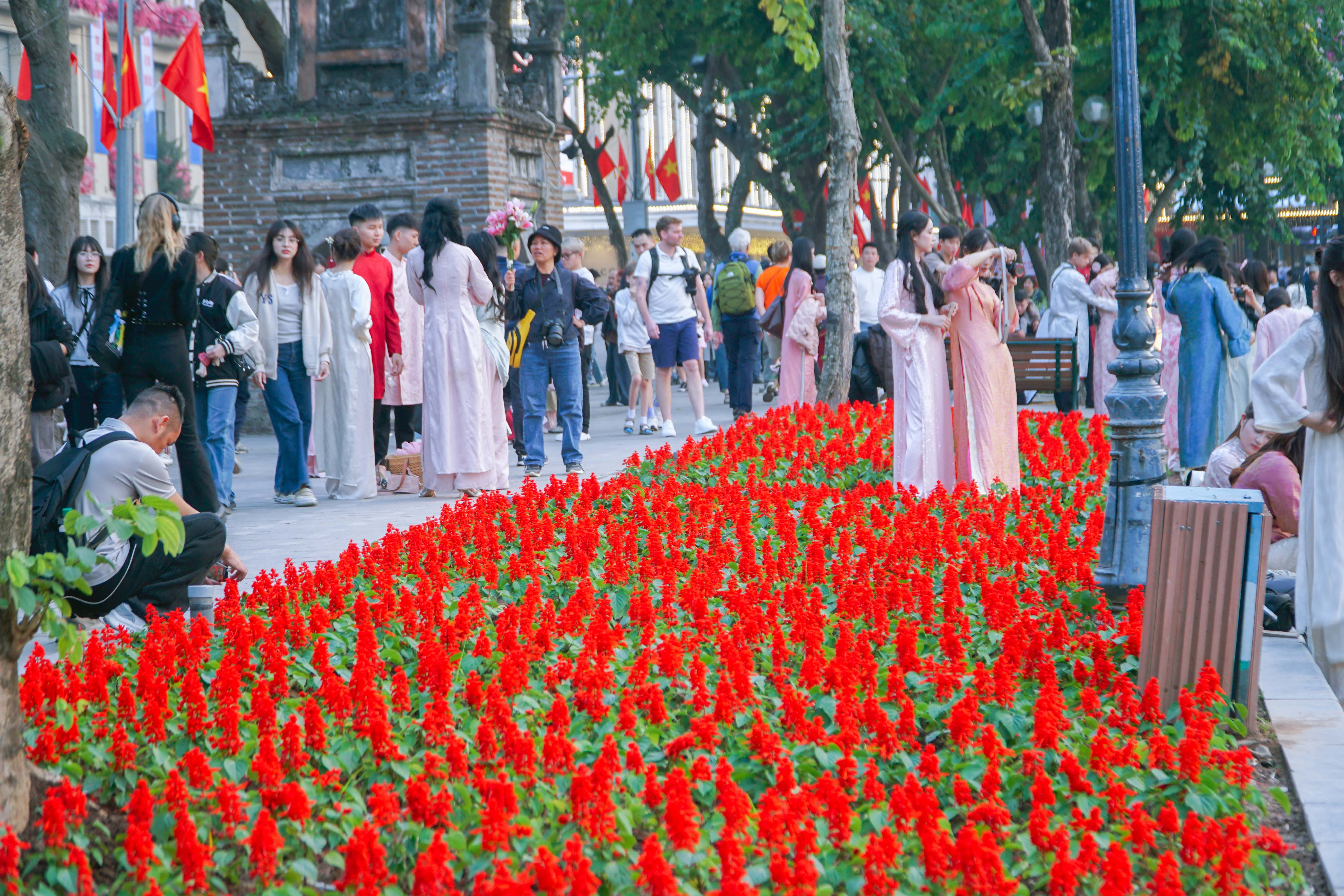 Hoa tươi khoe sắc thắm quanh Hồ Gươm