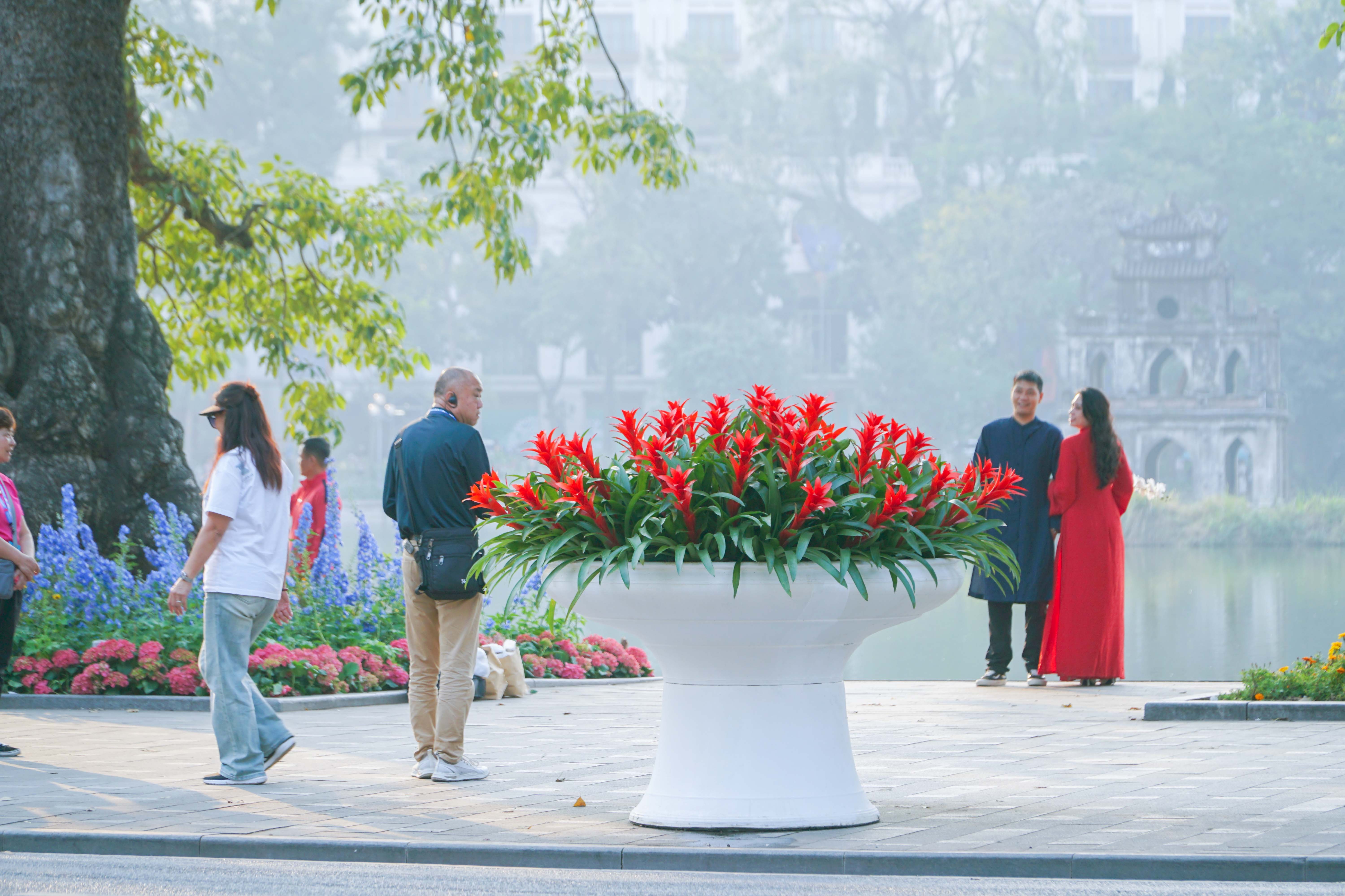 Hoa tươi khoe sắc thắm quanh Hồ Gươm