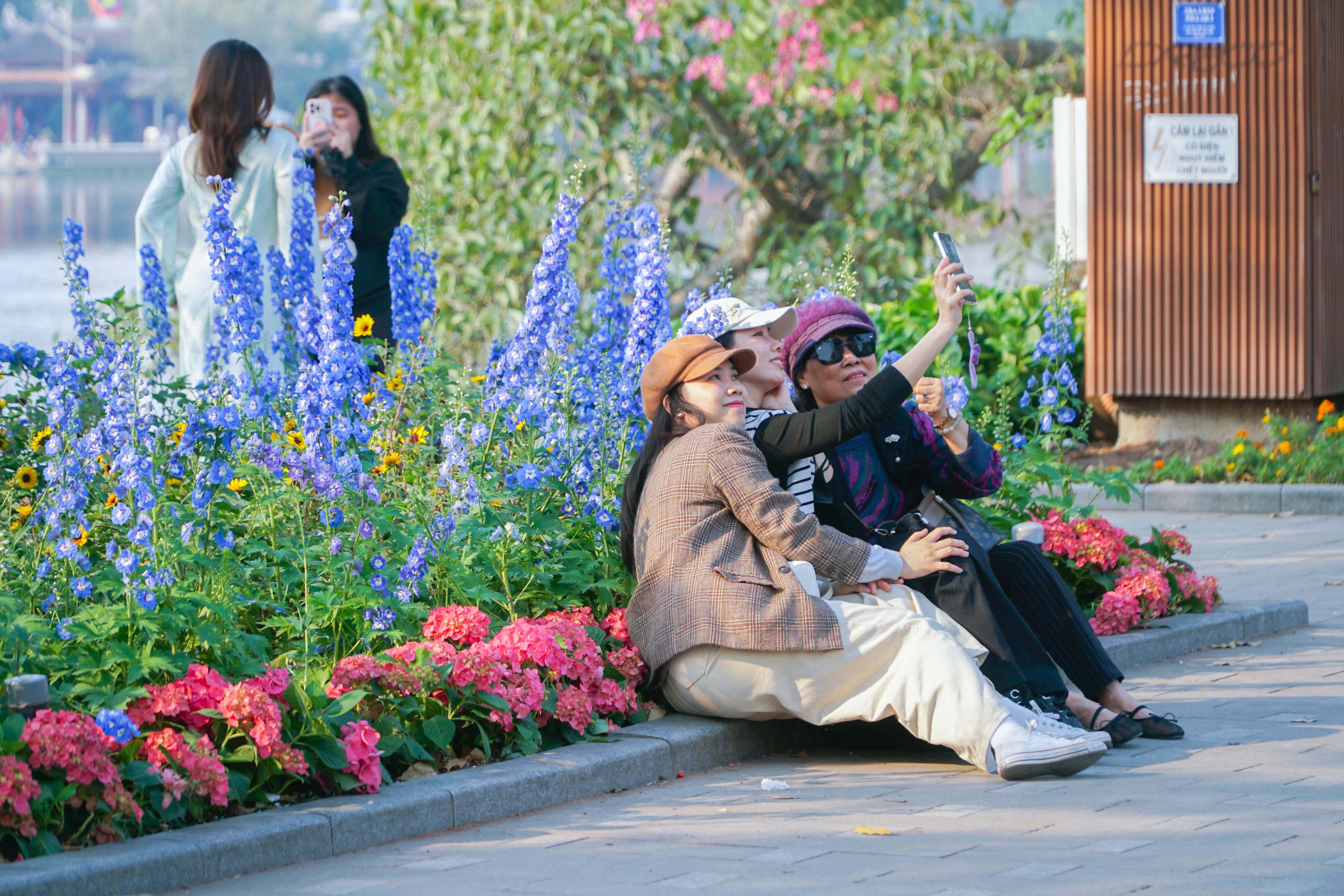 Hoa tươi khoe sắc thắm quanh Hồ Gươm