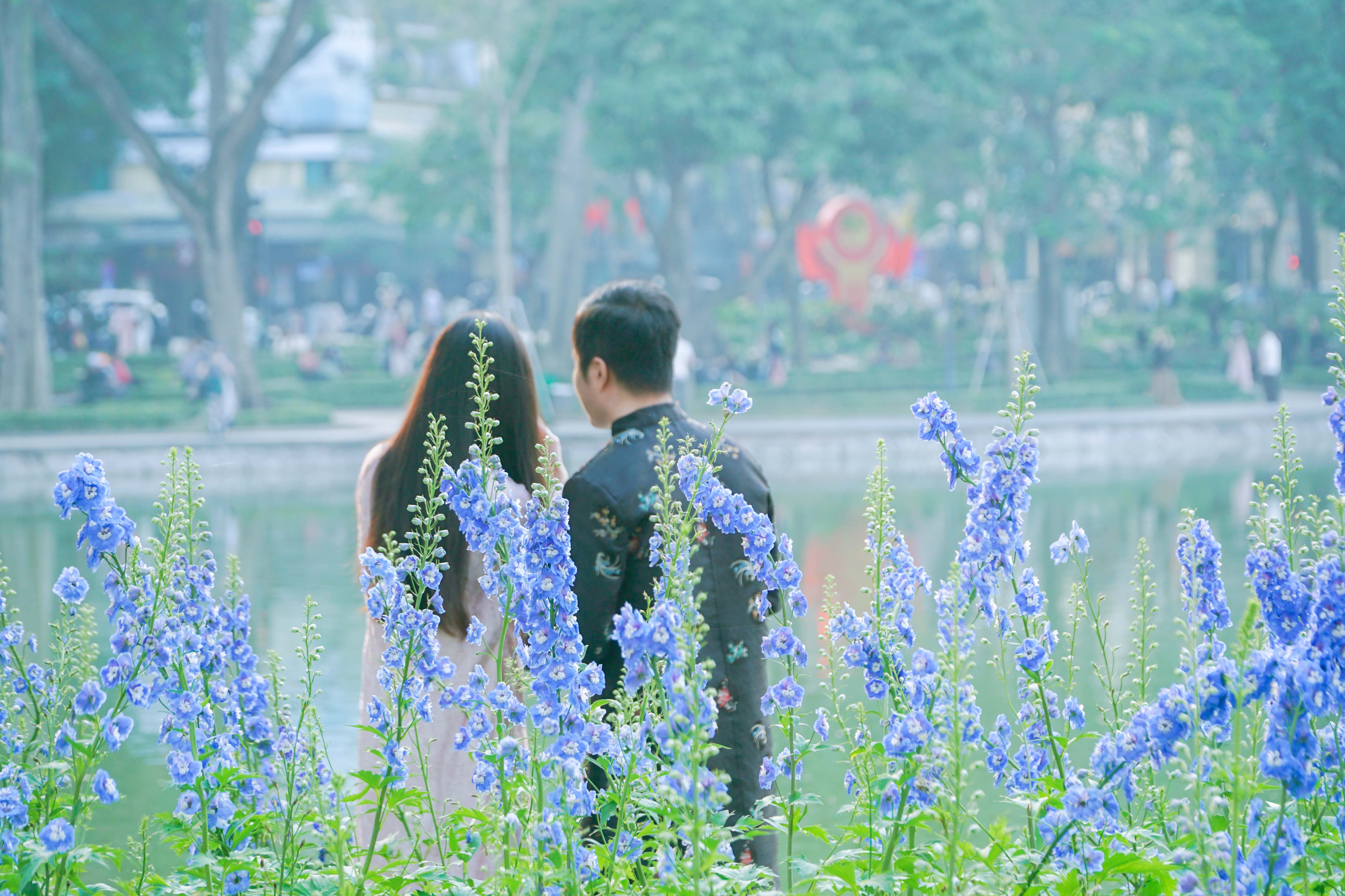 Hoa tươi khoe sắc thắm quanh Hồ Gươm