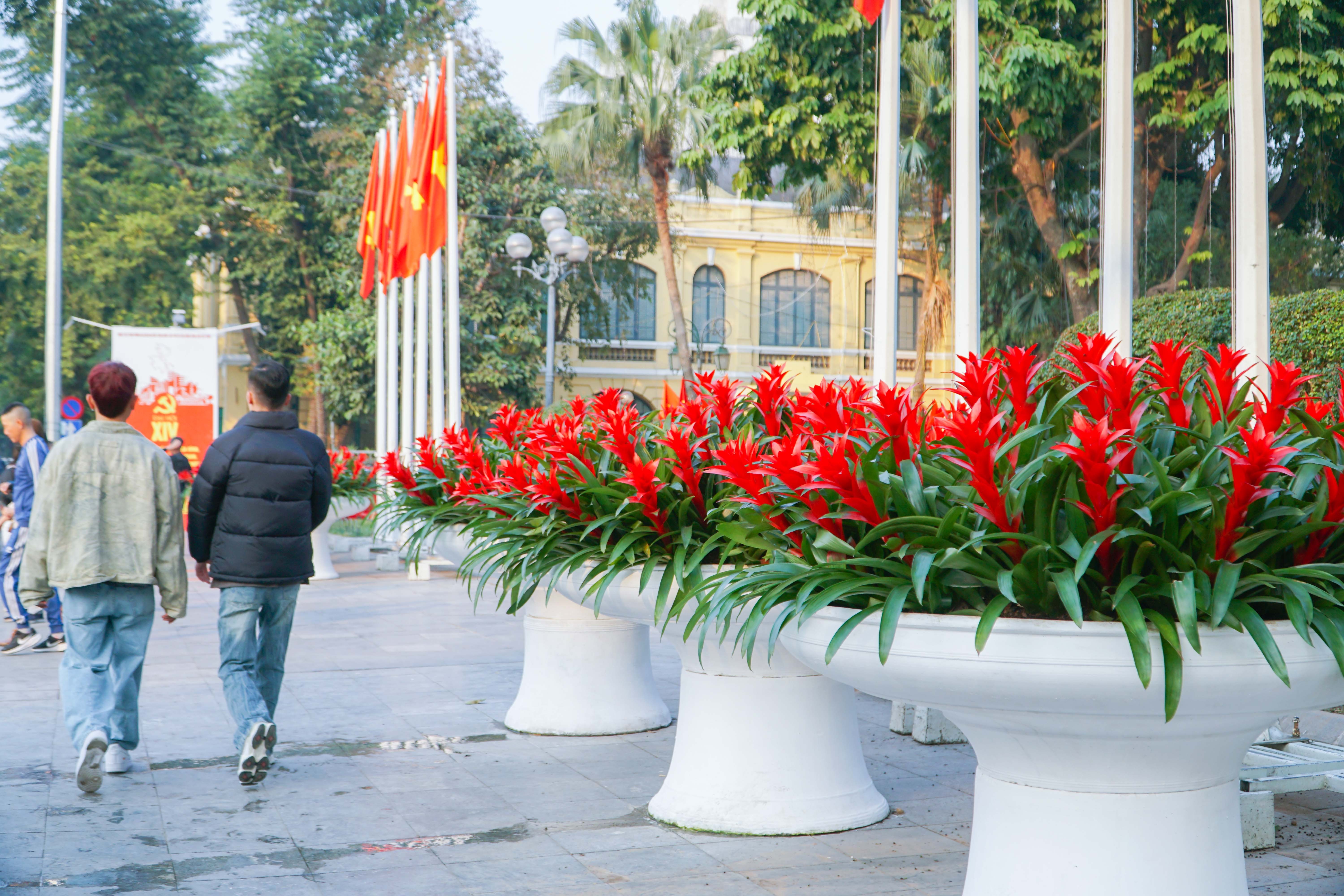 Hoa tươi khoe sắc thắm quanh Hồ Gươm