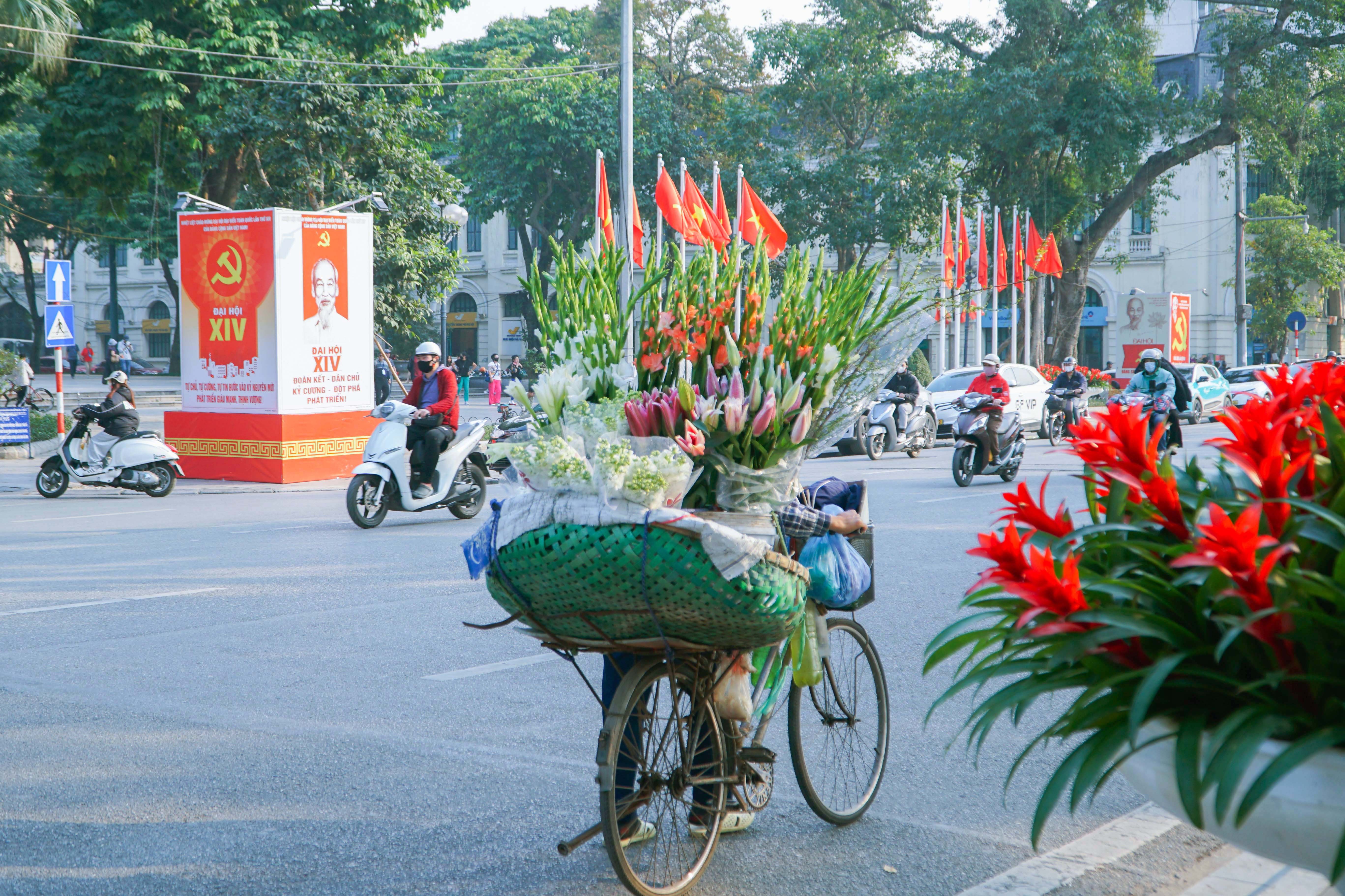 Hoa tươi khoe sắc thắm quanh Hồ Gươm