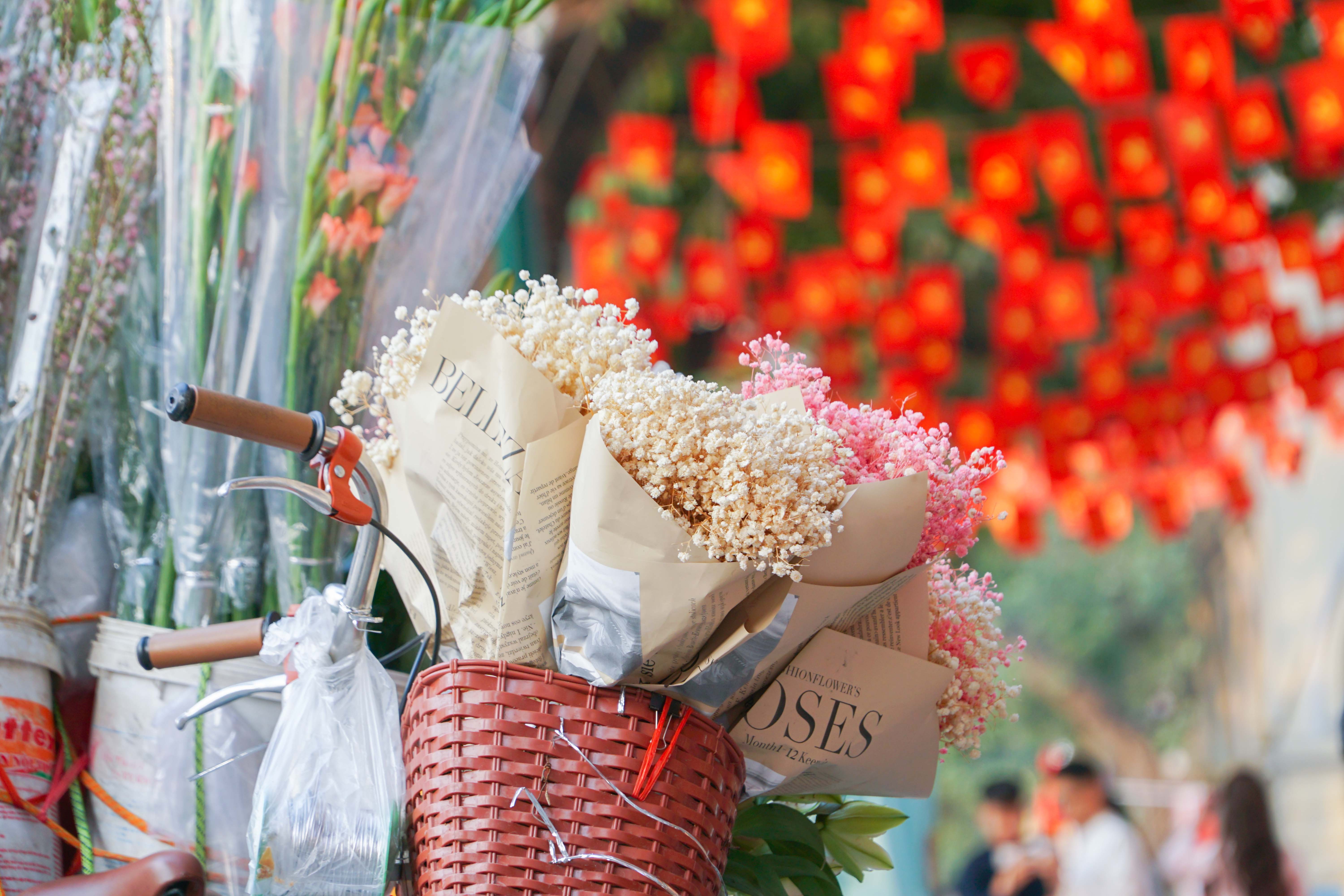 Hoa tươi khoe sắc thắm quanh Hồ Gươm