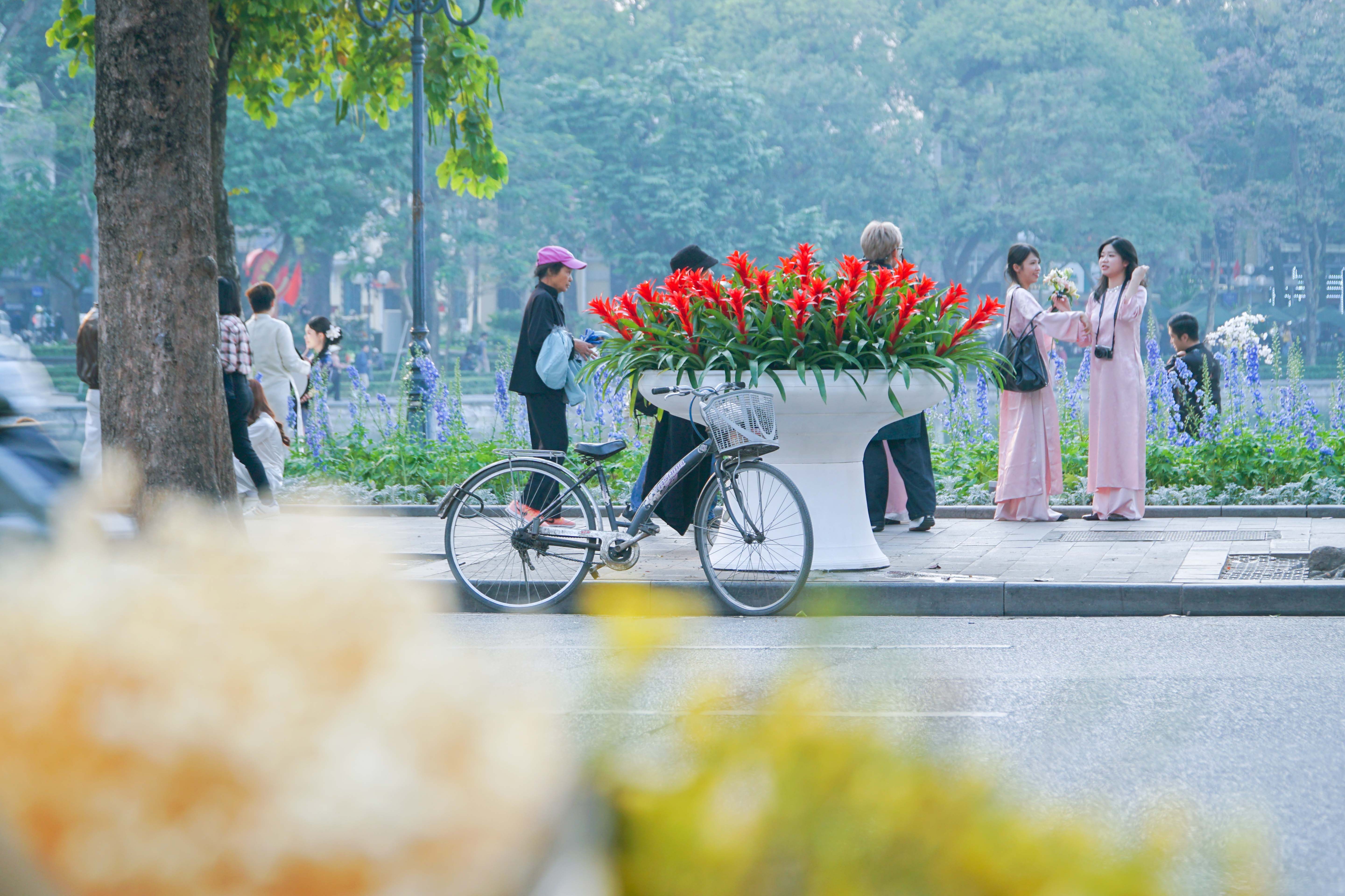 Hoa tươi khoe sắc thắm quanh Hồ Gươm