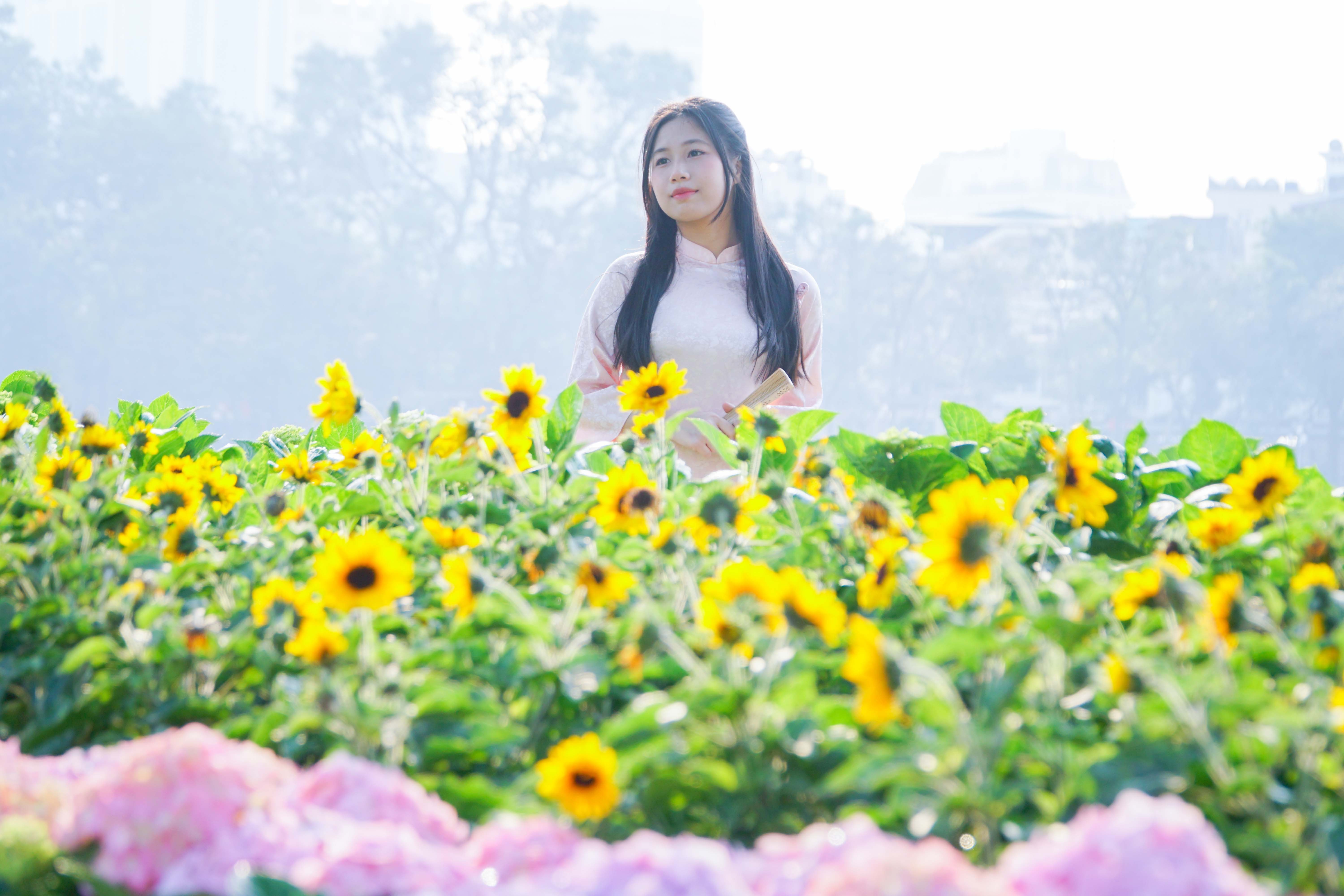 Hoa tươi khoe sắc thắm quanh Hồ Gươm