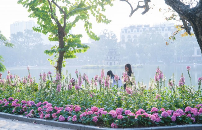 Hoa tươi khoe sắc thắm quanh Hồ Gươm