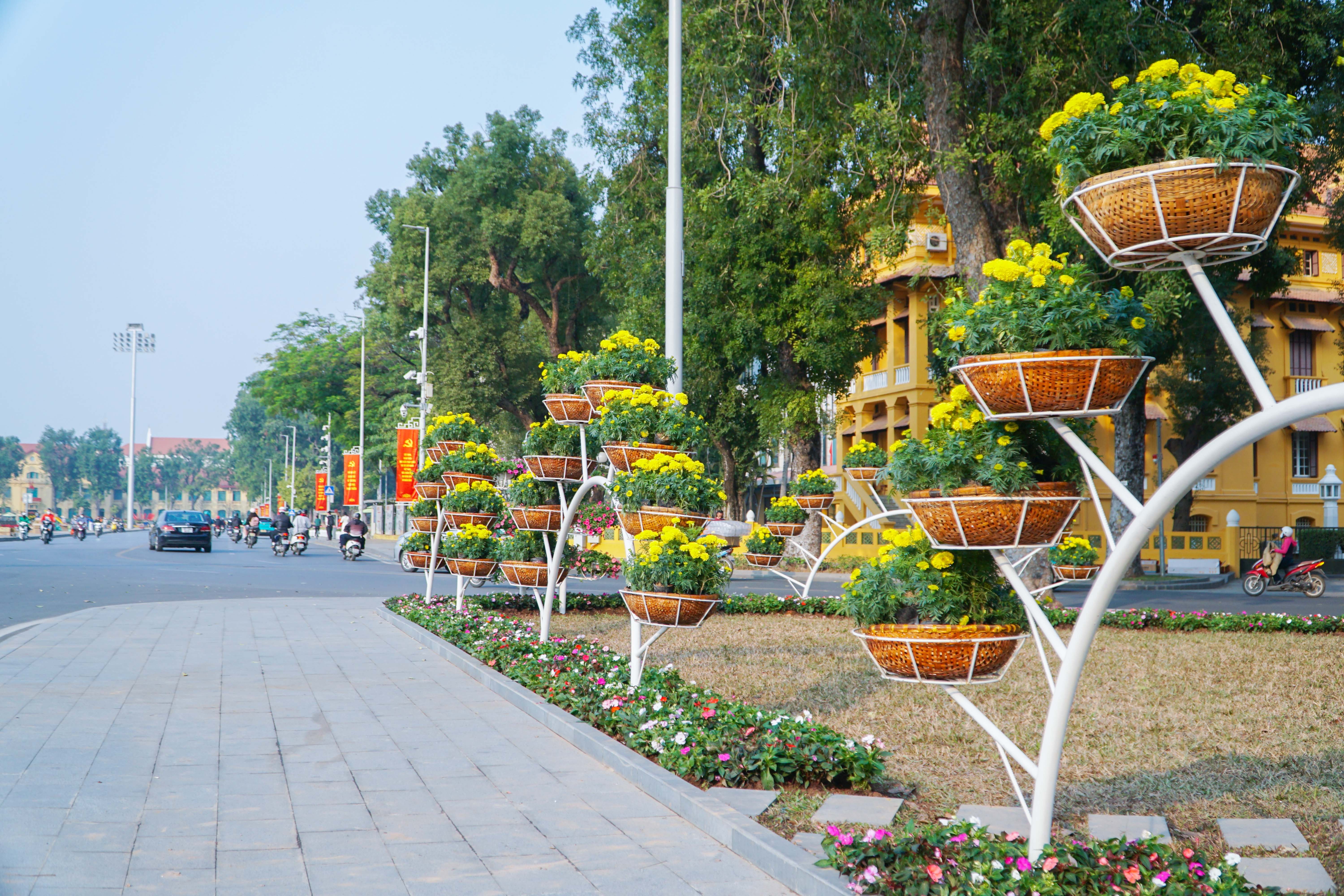 Đường phố Hà Nội rực rỡ sắc hoa