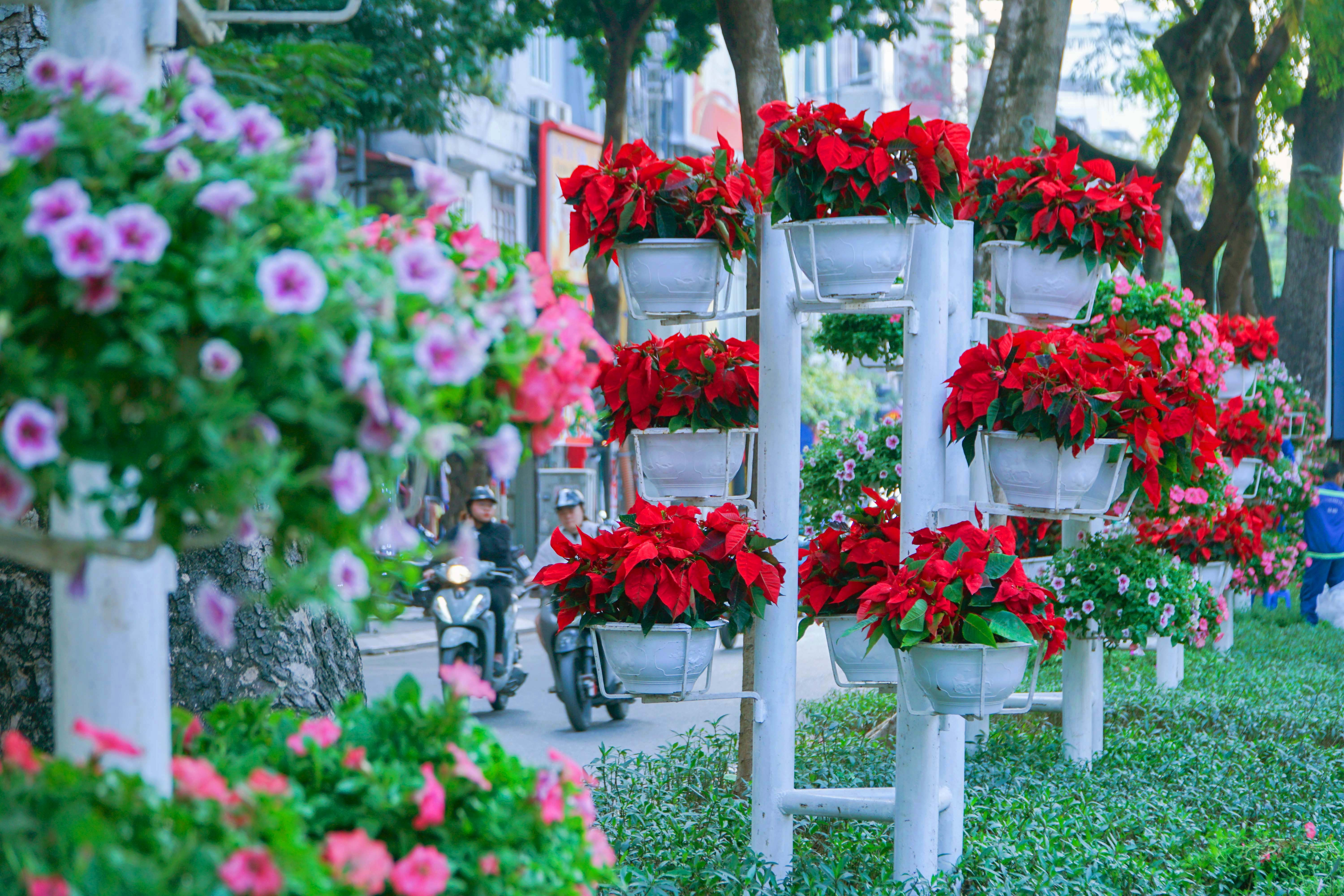 Cờ hoa rực rỡ, không khí Đại hội XIV hiện diện khắp phố phường Thủ đô