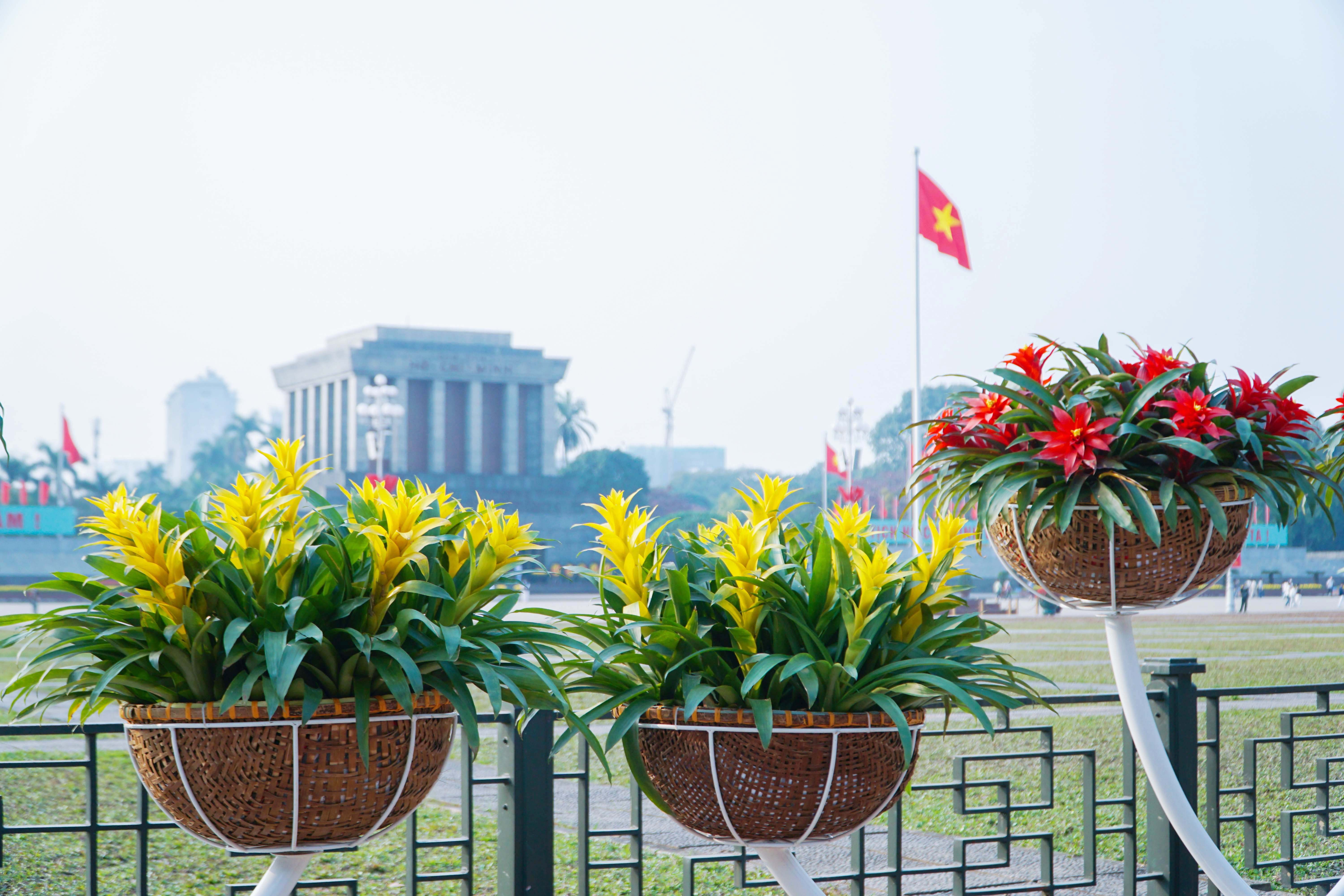 Cờ hoa rực rỡ, không khí Đại hội XIV hiện diện khắp phố phường Thủ đô