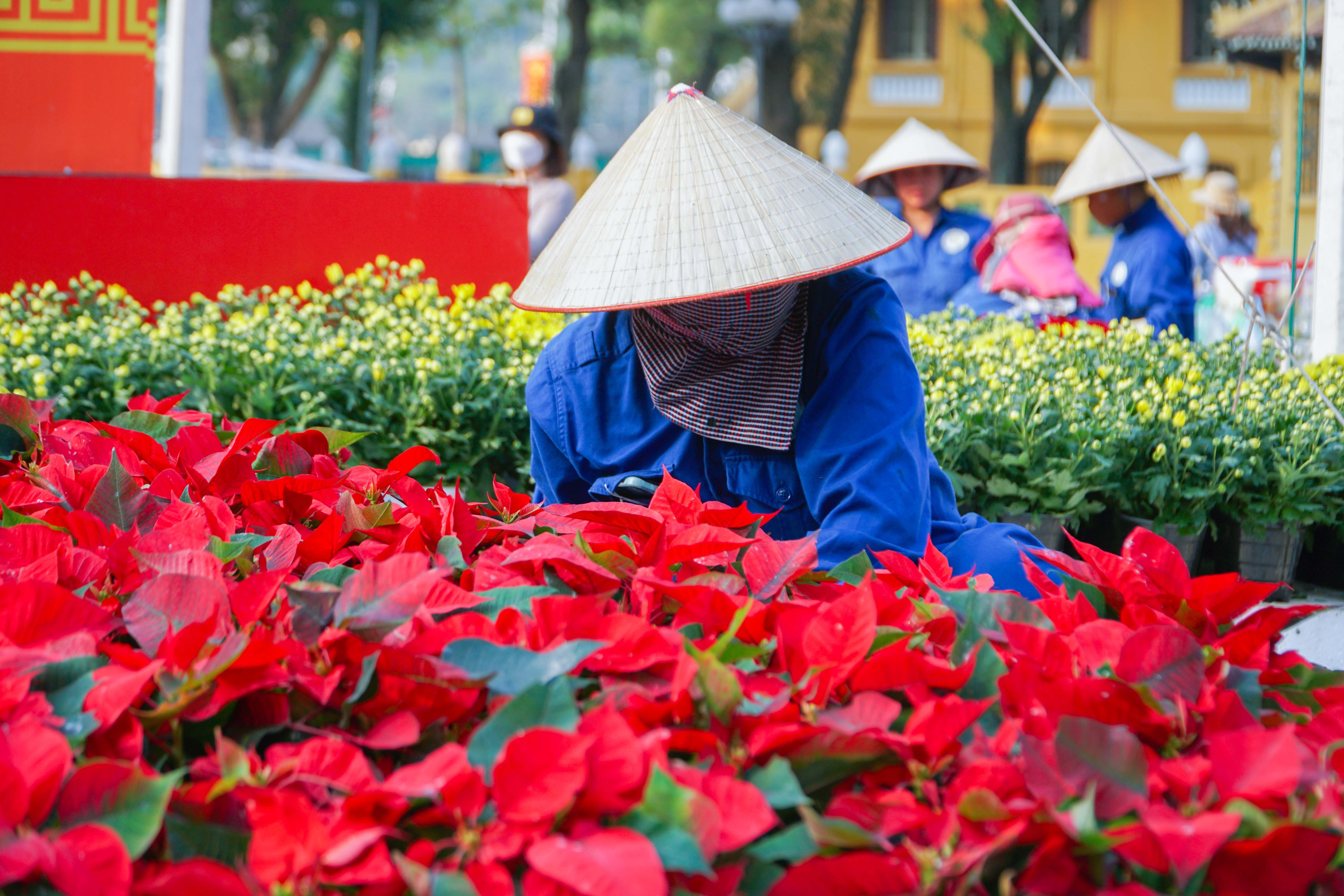 Cờ hoa rực rỡ, không khí Đại hội XIV hiện diện khắp phố phường Thủ đô