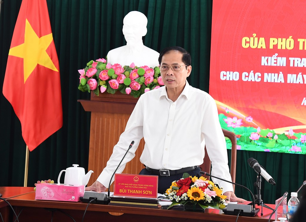 Phó Thủ tướng nhấn mạnh công tác giải phóng mặt bằng đóng vai trò then chốt, quyết định việc triển khai các bước tiếp theo của Dự án điện hạt nhân Ninh Thuận - Ảnh: VGP/Hải Minh