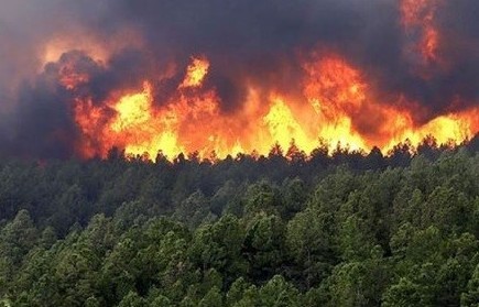 Đà Nẵng hiện đại hóa hệ thống phòng cháy chữa cháy rừng