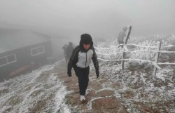 Các tỉnh, thành phố chủ động ứng phó với rét đậm, rét hại và gió mạnh trên biển