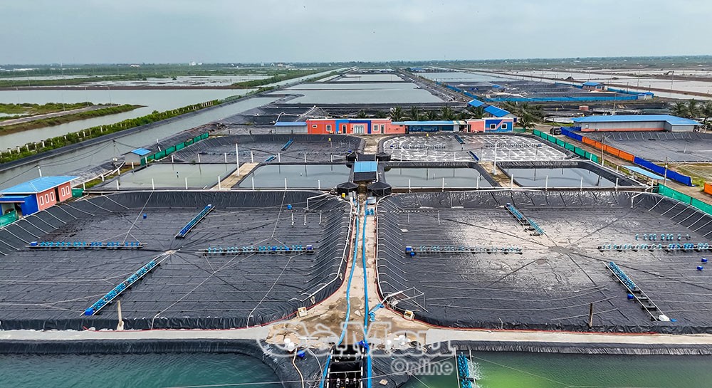 Cà Mau vững tin cùng cả nước bước vào kỷ nguyên phát triển mới*