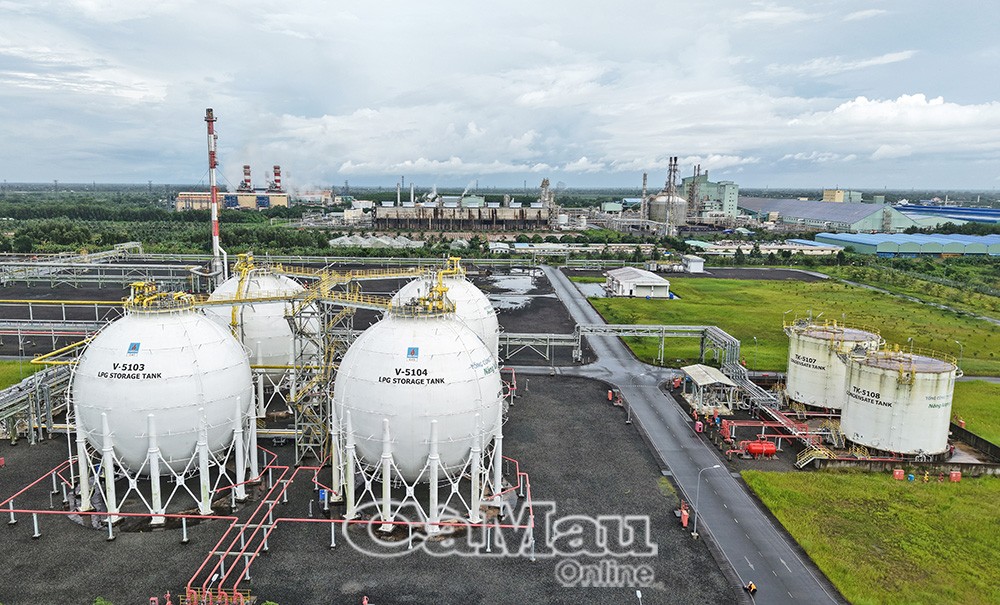 Cà Mau vững tin cùng cả nước bước vào kỷ nguyên phát triển mới*