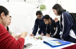 Mở lối tương lai cho sinh viên ngành y dược cổ truyền