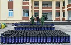 Bắt giữ vụ vận chuyển trái phép 1.364 bình khí cười