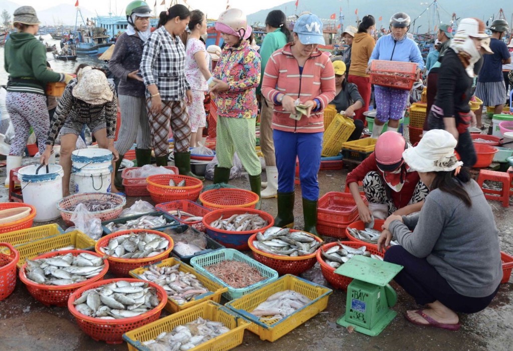 Đà Nẵng chú trọng áp dụng hệ thống truy xuất nguồn gốc theo chuỗi giá trị sản phẩm từ khai thác, bảo quản, đến chế biến và tiêu thụ sản phẩm, và đẩy mạnh ứng dụng công nghệ số (Ảnh Đ.Minh)