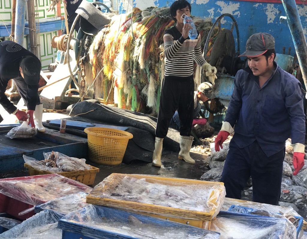 Từ thói quen ghi chép thủ công, nhiều chủ tàu đã chuyển sang quản lý hành trình, sản lượng và thủ tục xuất nhập cảng bằng điện thoại thông minh (Ảnh: Đ.Minh)