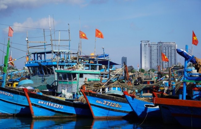 Đà Nẵng: Số hóa minh bạch nghề cá để phát triển bền vững