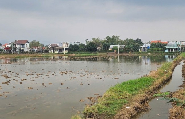 Đà Nẵng đấu thầu lựa chọn nhà đầu tư khu dân cư Duy Phước