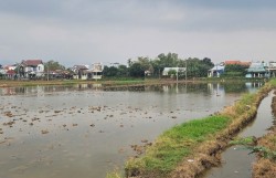 Đà Nẵng đấu thầu lựa chọn nhà đầu tư khu dân cư Duy Phước