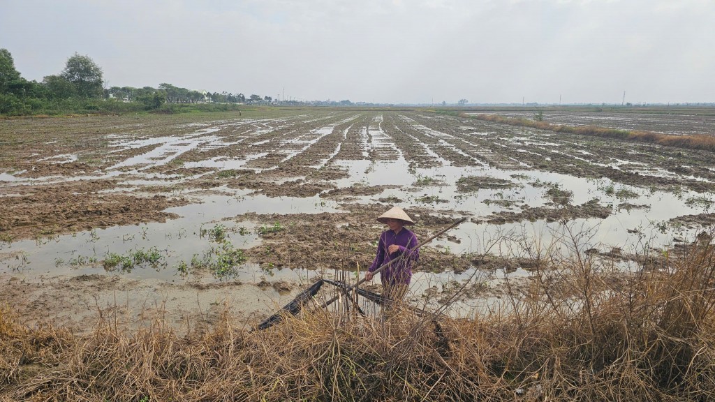 Đấu thầu lựa chọn nhà đầu tư Khu dân cư Duy Phước Đấu thầu lựa chọn nhà đầu tư Khu dân cư Duy Phước