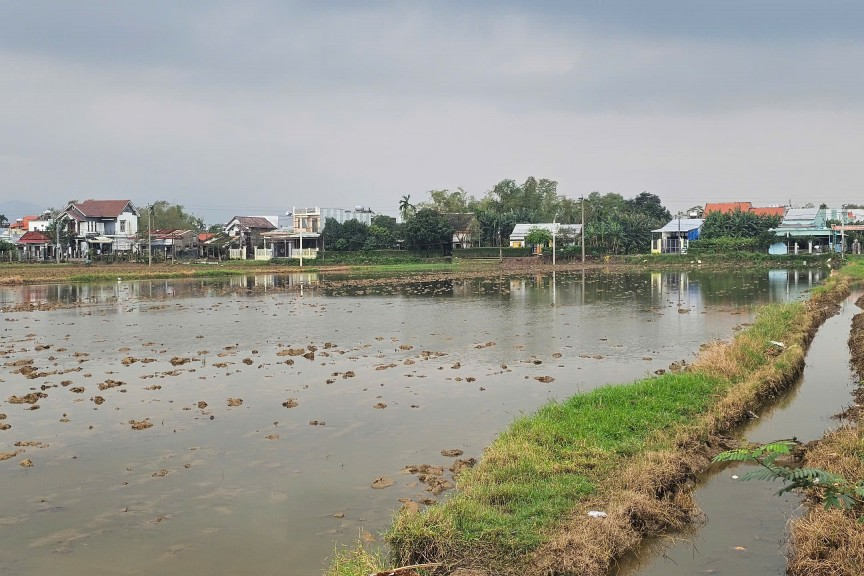 Đà Nẵng đấu thầu lựa chọn nhà đầu tư khu dân cư Duy Phước Đà Nẵng đấu thầu lựa chọn nhà đầu tư khu dân cư Duy Phước