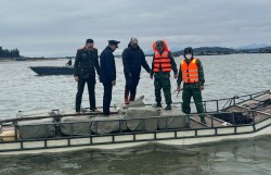 Biên phòng Trà Cổ thu giữ 800kg nầm lợn đông lạnh không nguồn gốc