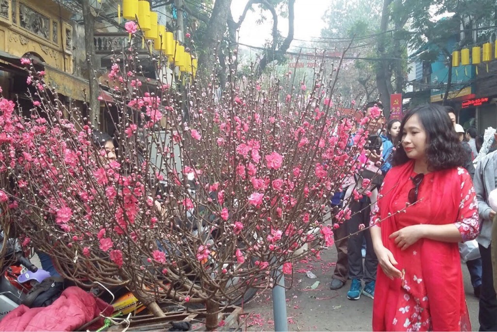 Phố trong mùa thời gian