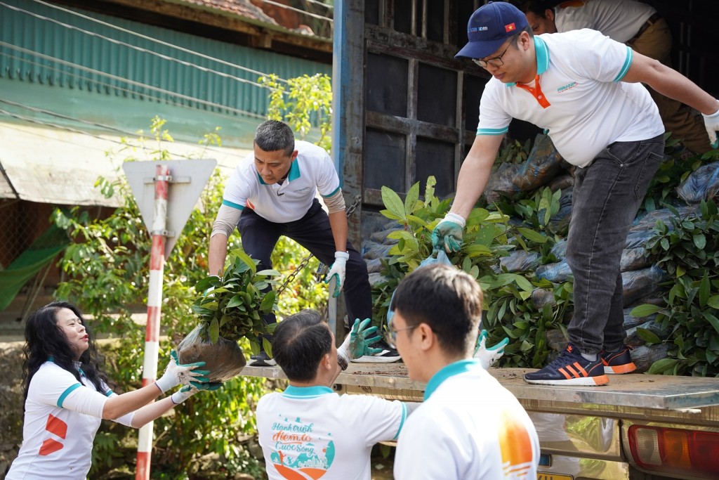 100.000 cây xanh được trao tặng thông qua chương trình Tết An Bình 2026