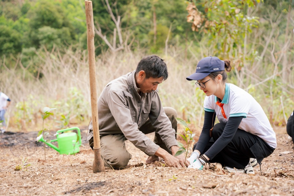 100.000 cây xanh được trao tặng thông qua chương trình Tết An Bình 2026
